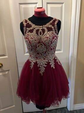 Aspeed Burgundy Tulle Prom Dress with Gold Embellishment
